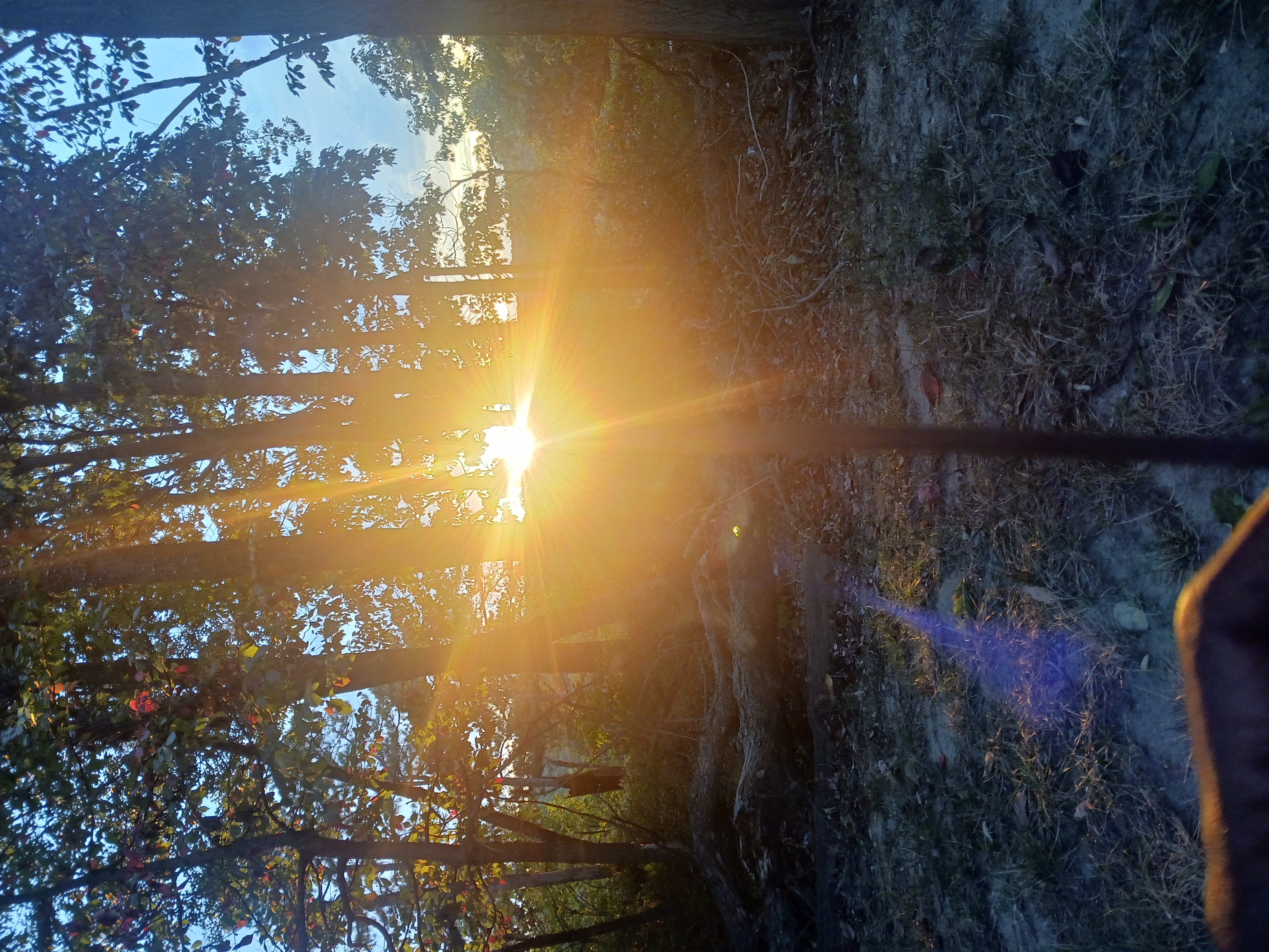Kundalini Situational Reiki (3 Sessions)